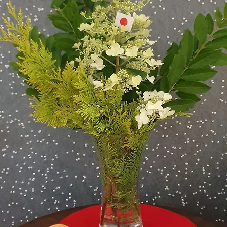 Center Japan - No Smoking, Free Bottled Water, Coffea And Tea アパート