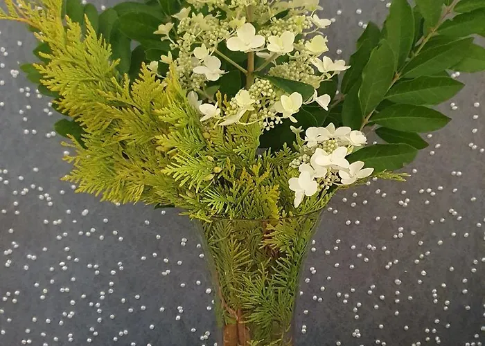 Center Japan - No Smoking, Free Bottled Water, Coffea And Tea アパート